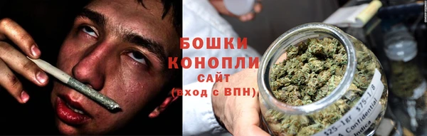 прущие грибы Алзамай