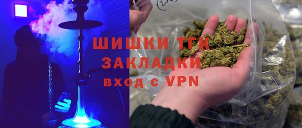 прущие грибы Алзамай