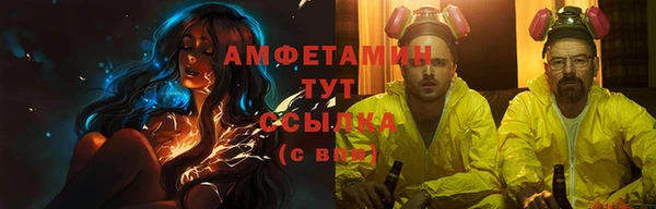 прущие грибы Алзамай