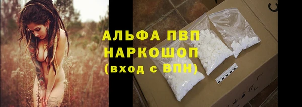 прущие грибы Алзамай
