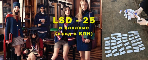 прущие грибы Алзамай