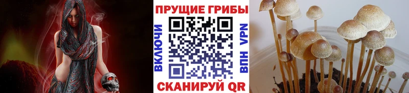 Псилоцибиновые грибы прущие грибы  Яровое 